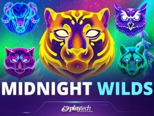 Midnight Wilds game screenshot